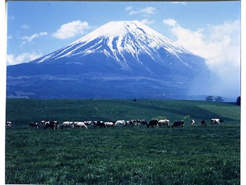 富士ヶ嶺高原
