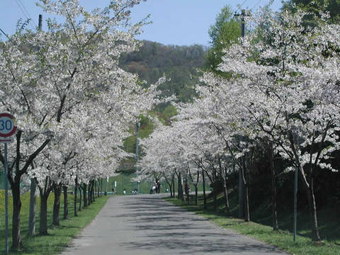 東明公園