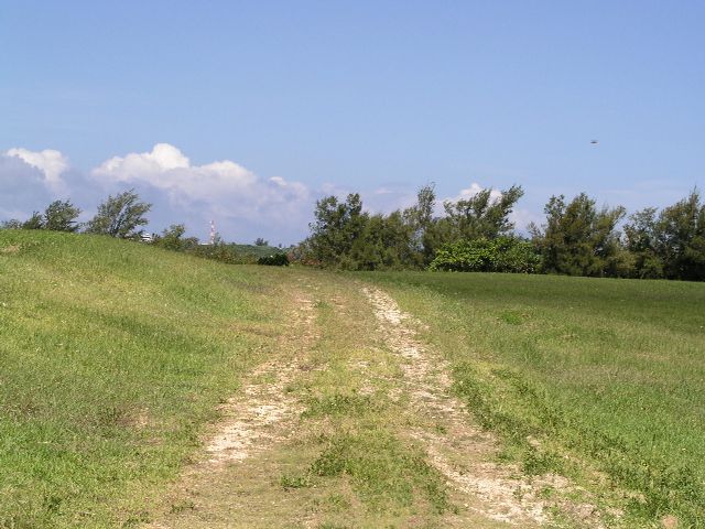 Yokuta grassland