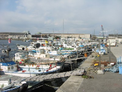 Sakai  fishery harbor