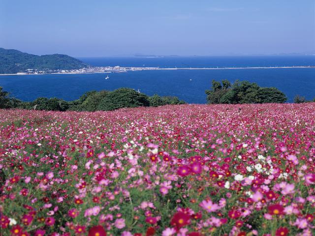 Nokonoshima Island Park