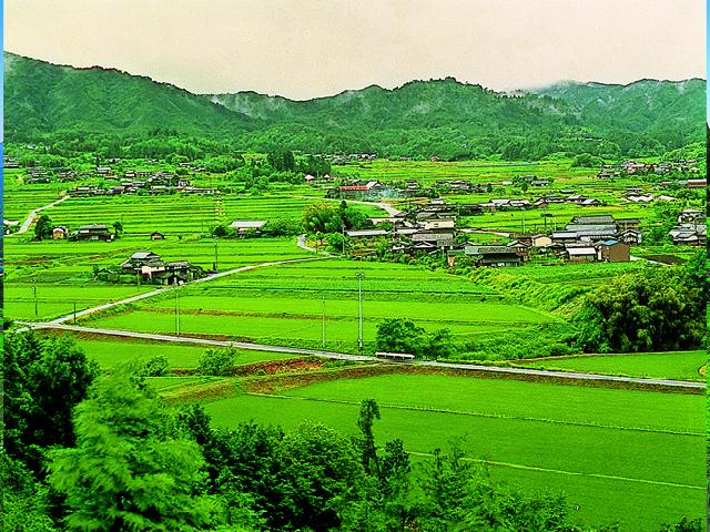 No.1 Farm Scenery in Japan