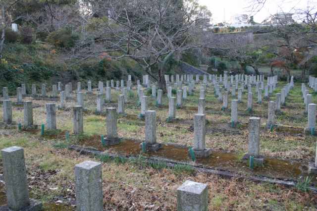 Sakuragaoka Graveyard