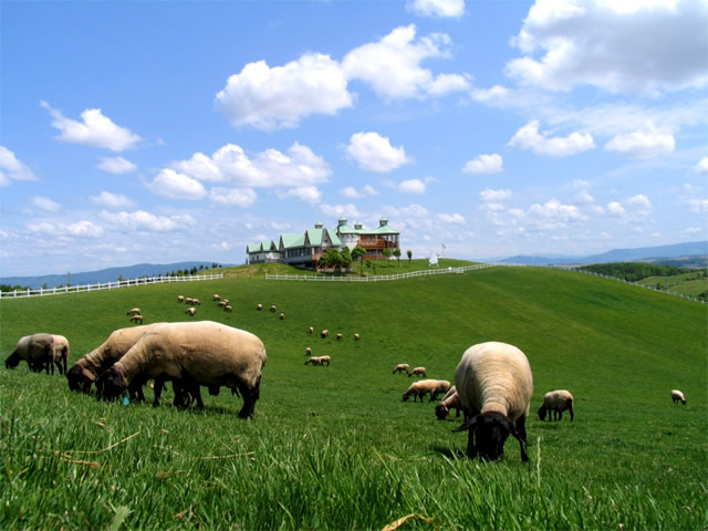 Hitsuji-to-Kumo-no-Oka Sheep Park