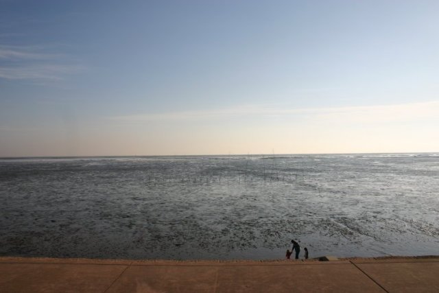 有明海