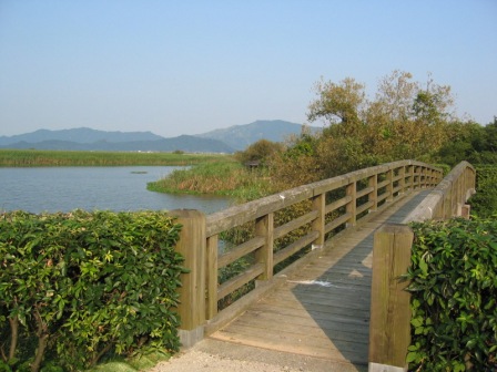 西の湖園地の橋