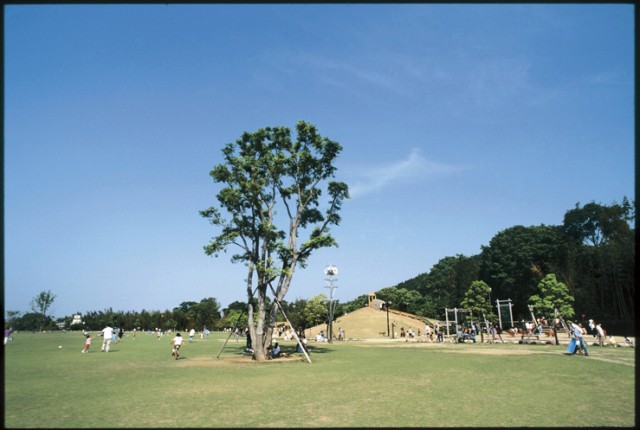 七瀬川自然公園