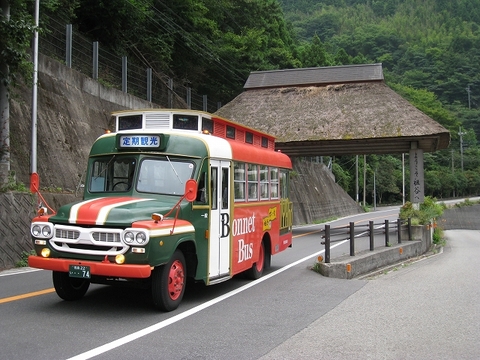Bonnet Bus