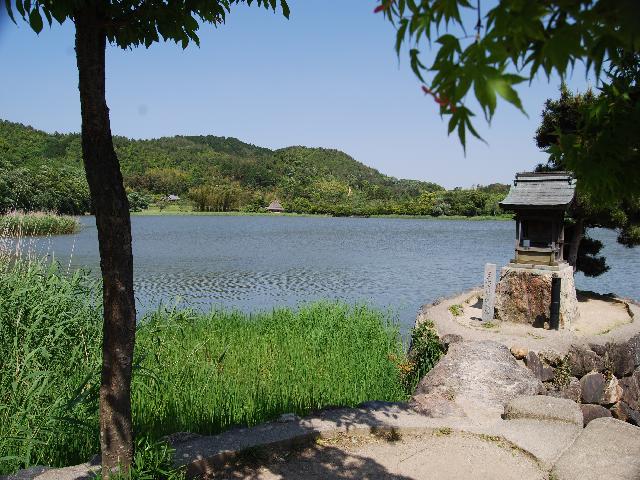 観音島と広沢の池