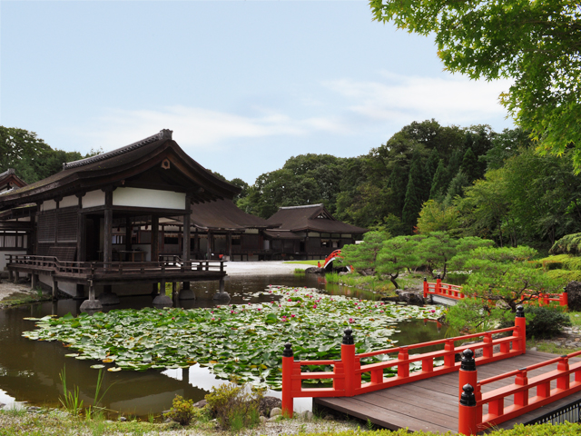 Kyara Gosho. Fujiwara Heritage Park