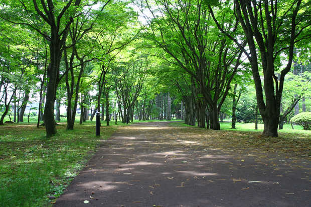 Miharashi Park
