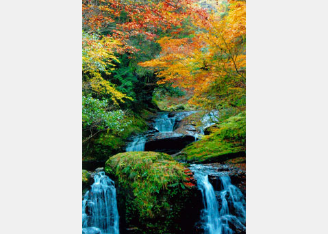 Akame 48 waterfalls