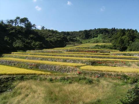 Sawajiri rice terrace