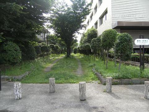 新寺緑道