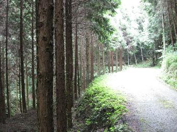 香川県森林センターの森