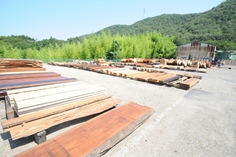 広葉樹専門の木材市場