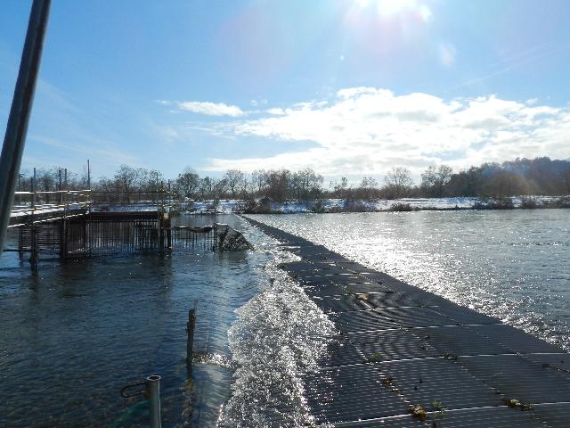玉川鮭漁場